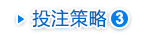 投注策略