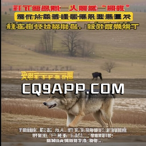 2023102310 纵贯青海公路，可可西里网红狼成游客宠儿