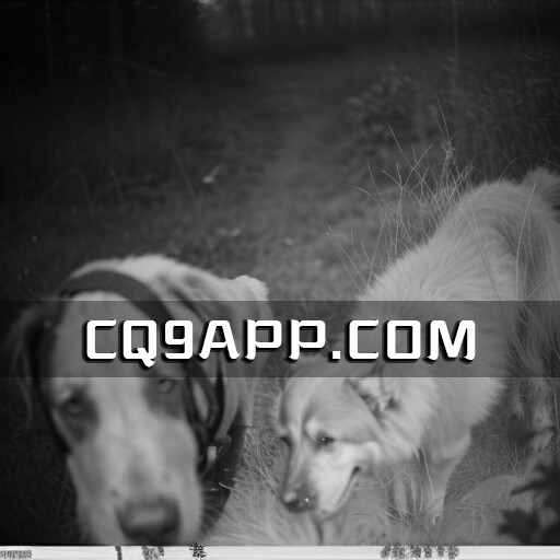 2023102410 关闭矿场后再现野生大熊猫，生态保护成效显现