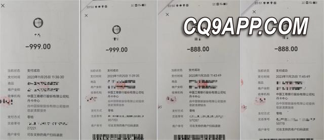 2023120411 大妈捡手机不归还，盗刷微信钱包被警方拘捕