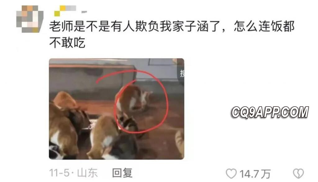 2023120715 网络新梗我家子涵引发热议，到底反映了什么社会心态？