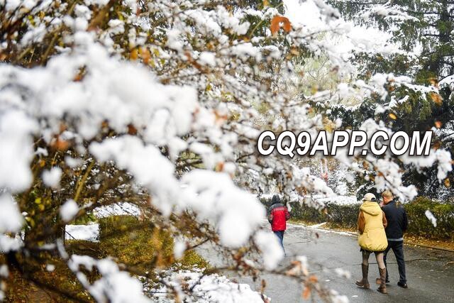 2023121312 寒冷天气影响呼吸道疾病？下雪天究竟减不减少生病机率？