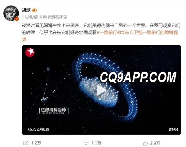2023121711 明星深潜南海探秘：揭秘深海夜行者与海洋保护新篇章