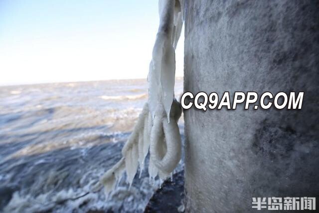 2023121720 胶州湾惊现冬季奇观：海浪化作晶莹海冰凌