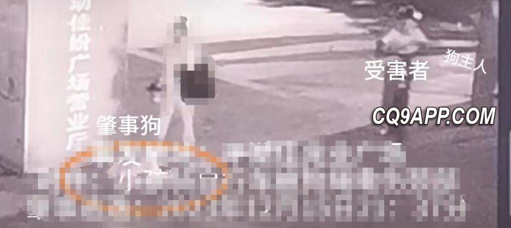 2023121911 深圳9岁男童遛狗事件中受伤，相关部门展开调解
