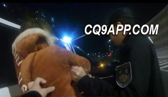 2023122016 南京一女子激动站高架边 缘何？民警热心助和家庭重归于好