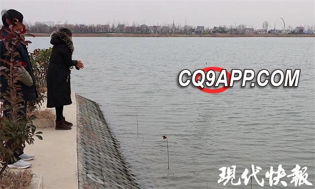 2023122214 窗台意外之客：灌云县居民家中发现濒危鸟类鸊鷉