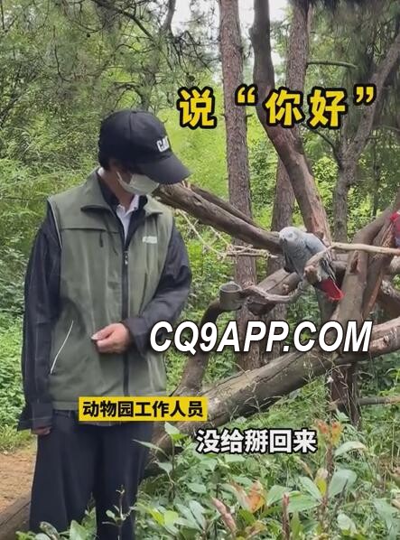 2023122512 动物园鹦鹉口无遮拦 反馈声音惹笑连连