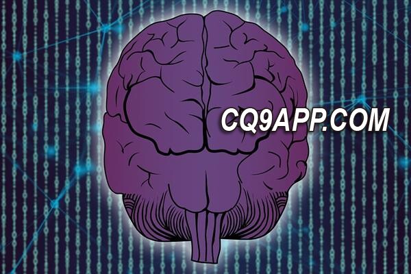 2023122613 淘宝热销畅想商品 爱因斯坦的脑子成畅销奇货