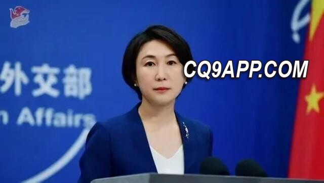 2023123010 钟翰林宣布赴英国寻求庇护，中国外交部坚称法律必追责
